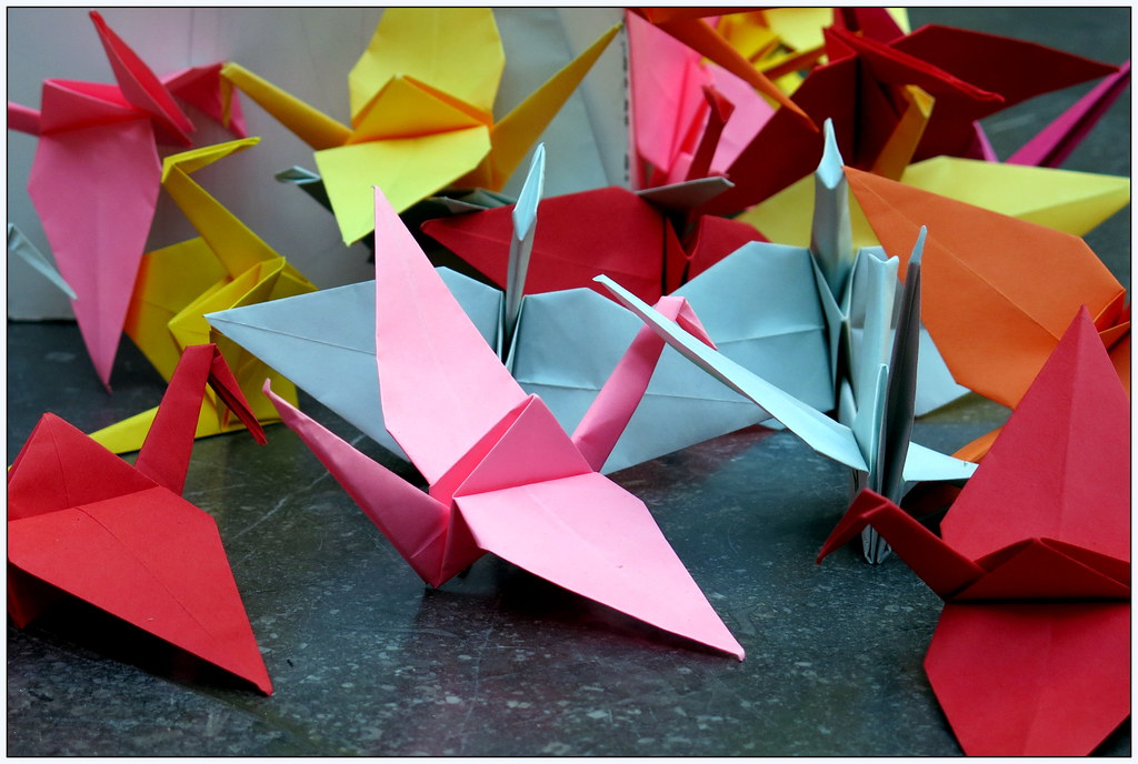 Origami for Life Charles Kaisin